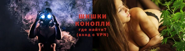 крисы Абдулино