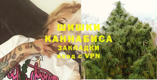 бошки Алексин