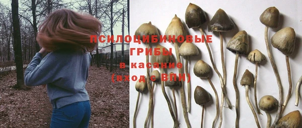 хмурый Алексеевка