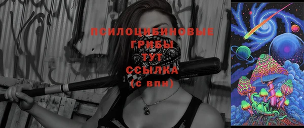 крисы Абдулино